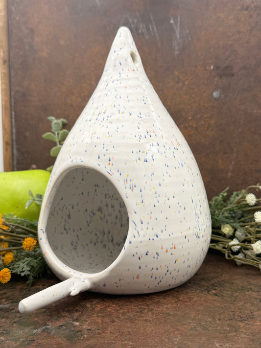 The Speckled Seed Pod