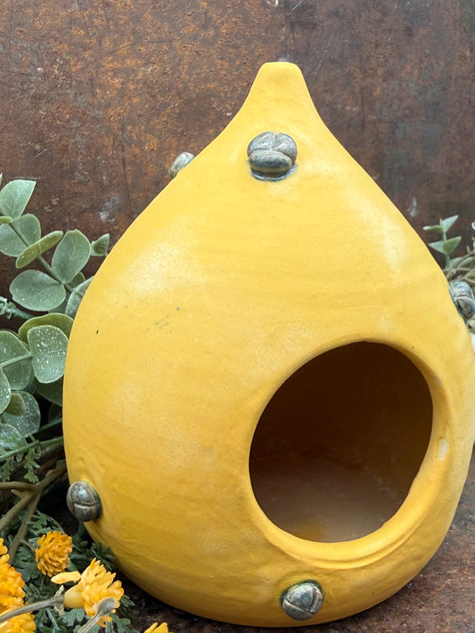 Golden Beetle Nesting Pod