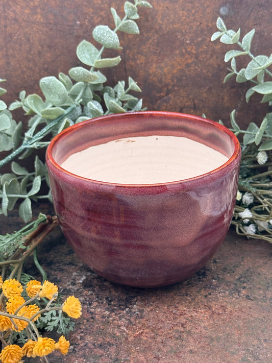 Crimson Mist Planter