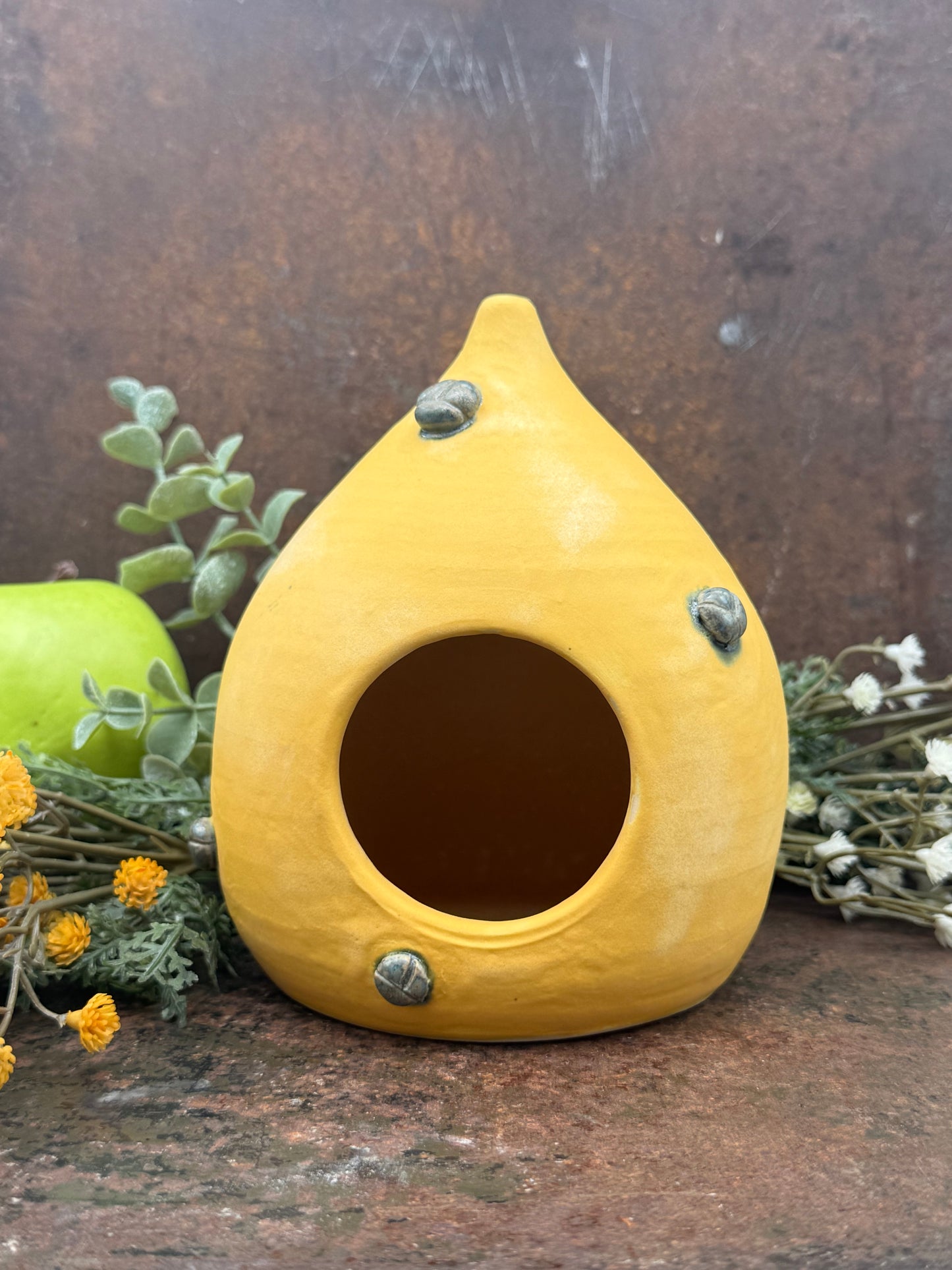 Golden Beetle Nesting Pod