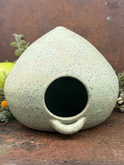 The Sage Speckle