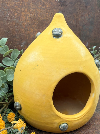 Golden Beetle Nesting Pod