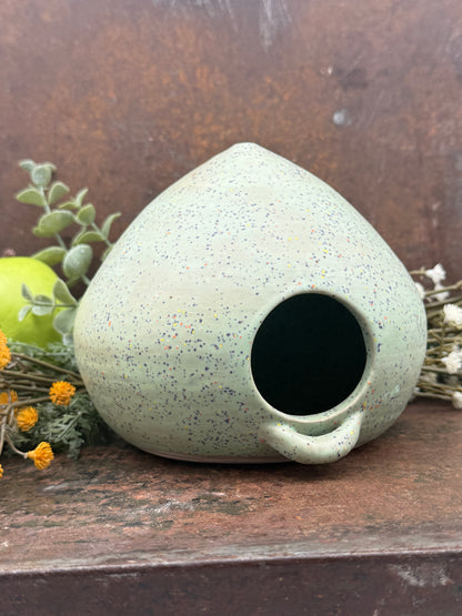 The Sage Speckle