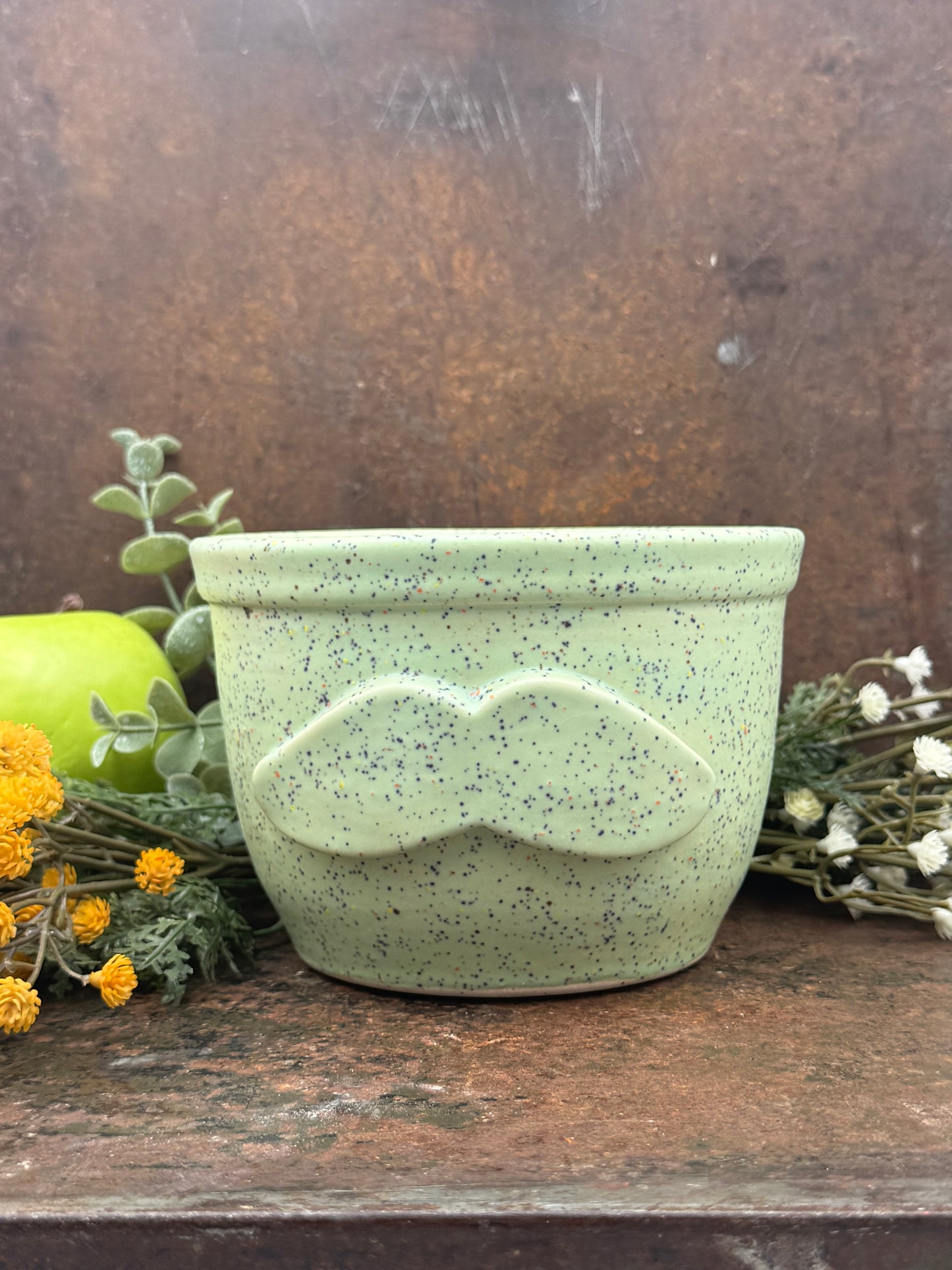 Stachepot