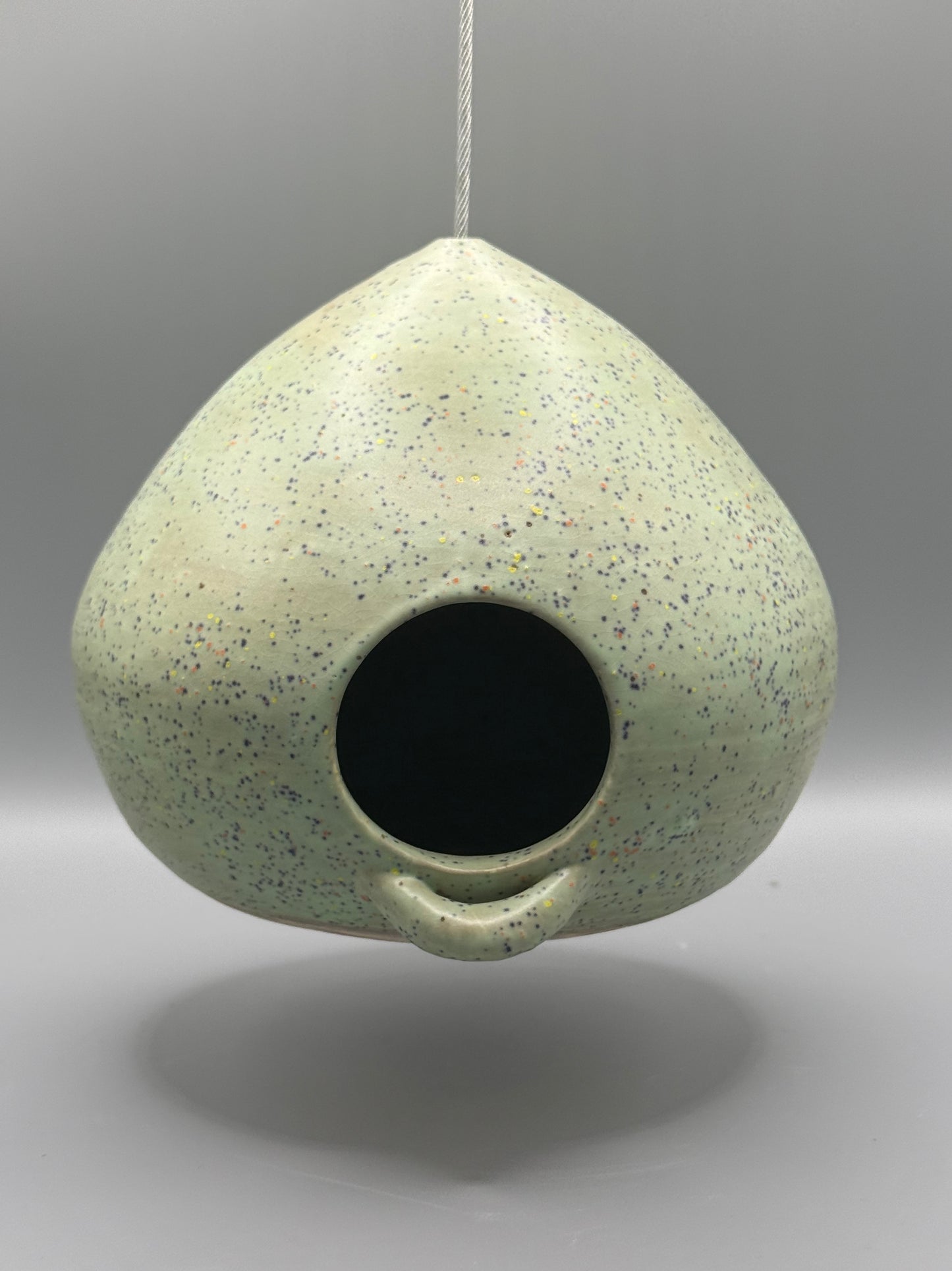 The Sage Speckle