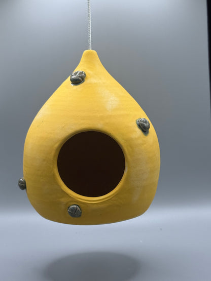 Golden Beetle Nesting Pod