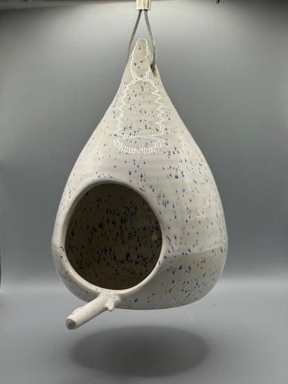 The Speckled Seed Pod